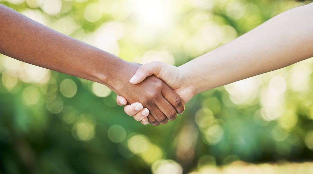 Collaboration and Partnerships