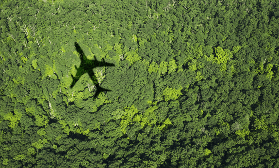 Sustainable Aviation Fuel (SAF)